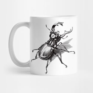 Dramabite Vintage stag beetle illustration Mug